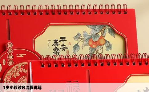 1岁小孩改名流程详解