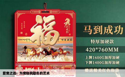 爱宠之选：为宠物狗取名的艺术