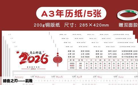 暗夜之刃——莉雅