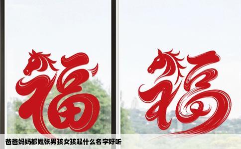 爸爸妈妈都姓张男孩女孩起什么名字好听