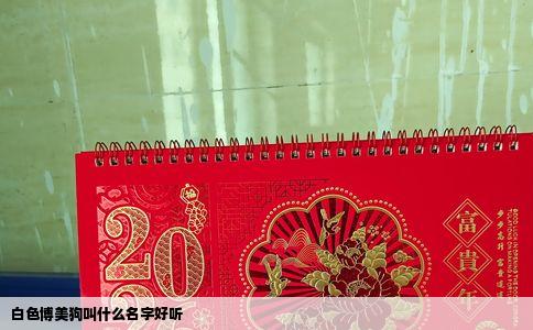 白色博美狗叫什么名字好听