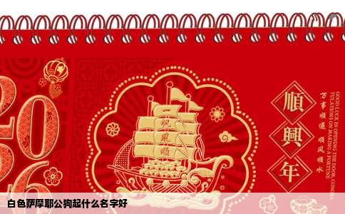 白色萨摩耶公狗起什么名字好