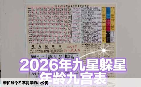 帮忙起个名字我家的小公狗