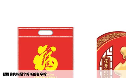 帮我的狗狗起个好听的名字哈