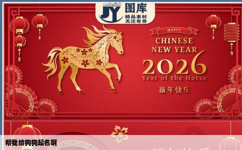 帮我给狗狗起名啊