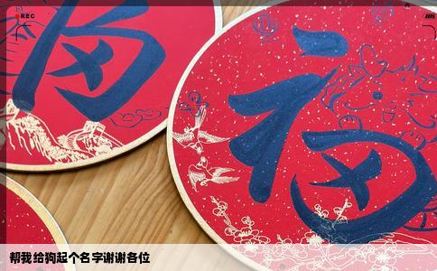 帮我给狗起个名字谢谢各位