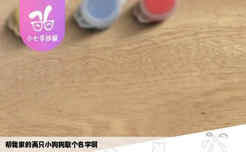 帮我家的两只小狗狗取个名字啊