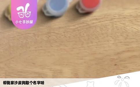 帮我家沙皮狗取个名字哈