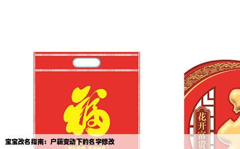 宝宝改名指南：户籍变动下的名字修改