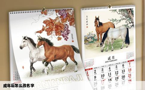 成年后怎么改名字