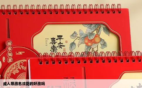 成人想改名沈阳的好改吗