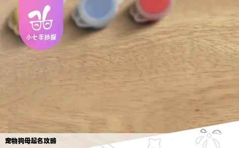 宠物狗母起名攻略