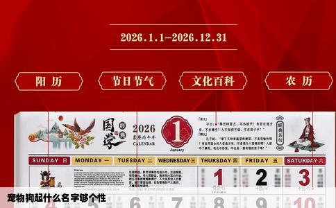 宠物狗起什么名字够个性