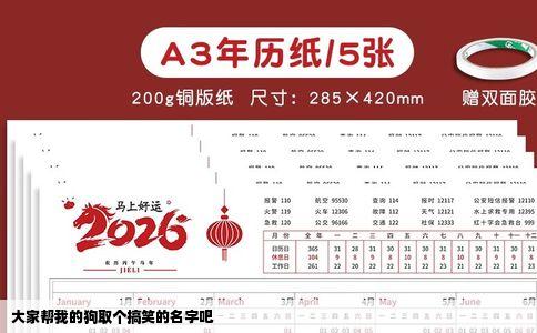 大家帮我的狗取个搞笑的名字吧