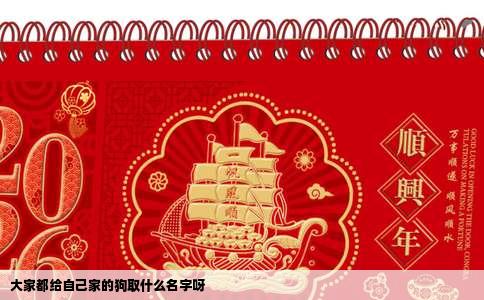 大家都给自己家的狗取什么名字呀