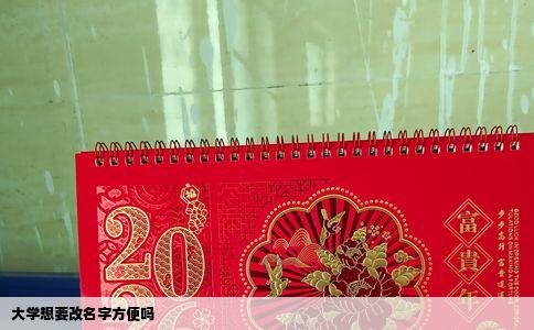 大学想要改名字方便吗
