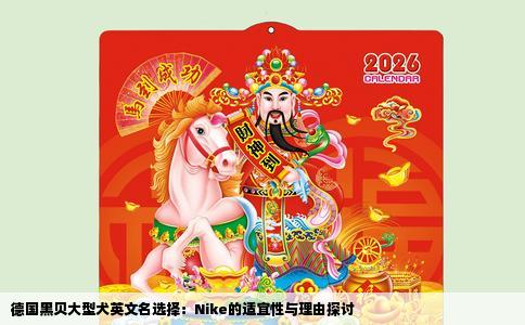 德国黑贝大型犬英文名选择：Nike的适宜性与理由探讨
