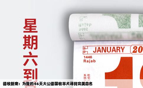 德牧新宠：为我的46天大公德国牧羊犬寻找完美命名