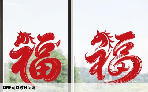 DNF可以改名字吗