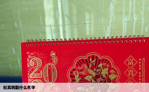 杜宾狗取什么名字