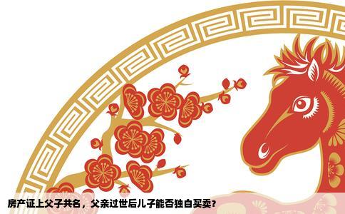房产证上父子共名，父亲过世后儿子能否独自买卖？