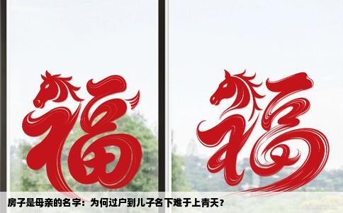 房子是母亲的名字：为何过户到儿子名下难于上青天？