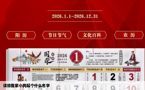 该给我家小狗起个什么名字