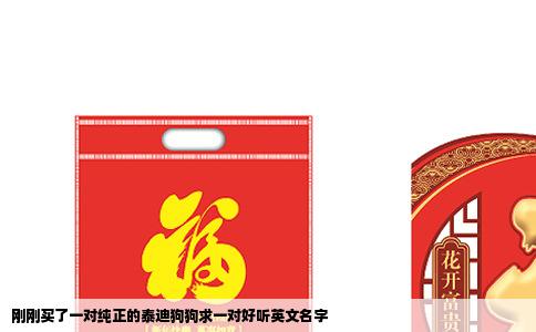 刚刚买了一对纯正的泰迪狗狗求一对好听英文名字