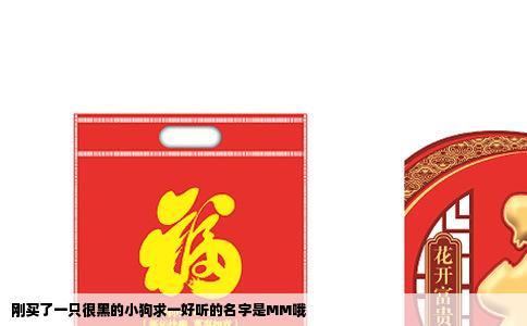 刚买了一只很黑的小狗求一好听的名字是MM哦