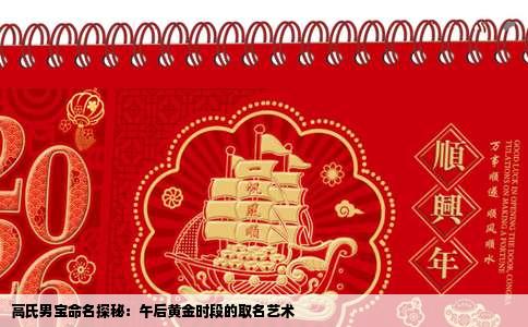 高氏男宝命名探秘：午后黄金时段的取名艺术