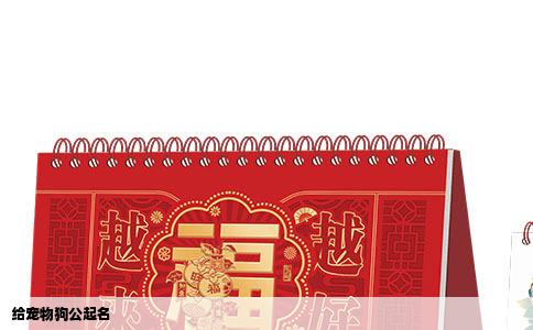 给宠物狗公起名