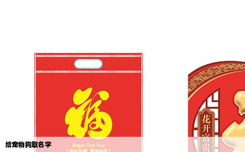 给宠物狗取名字