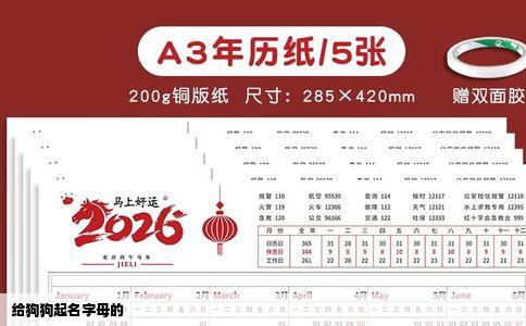 给狗狗起名字母的