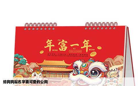 给狗狗起名字要可爱的公狗