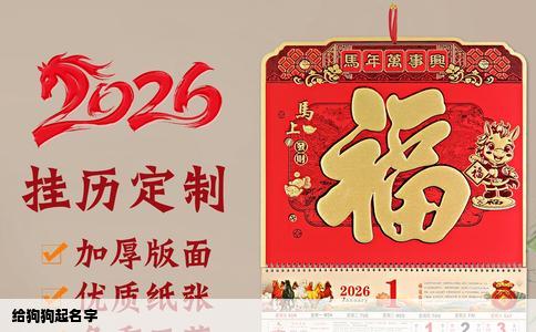 给狗狗起名字