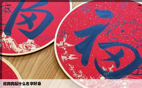 给狗狗起什么名字好急