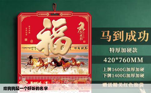 给狗狗起一个好听的名字