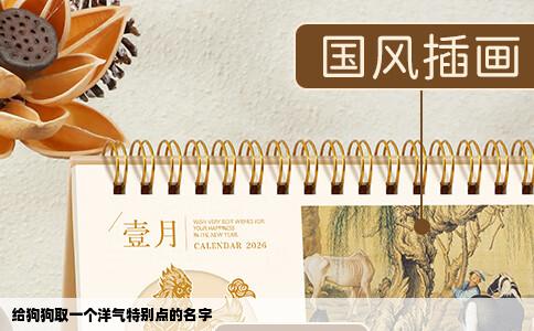 给狗狗取一个洋气特别点的名字