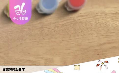 给贵宾狗起名字