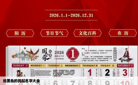 给黑色的狗起名字大全