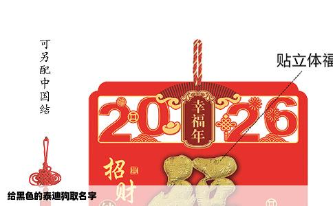 给黑色的泰迪狗取名字