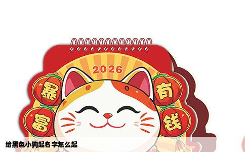 给黑色小狗起名字怎么起