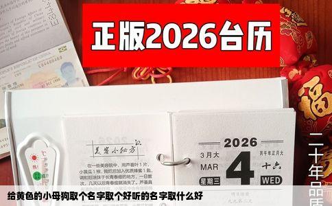 给黄色的小母狗取个名字取个好听的名字取什么好