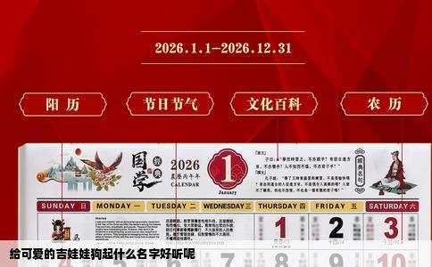 给可爱的吉娃娃狗起什么名字好听呢