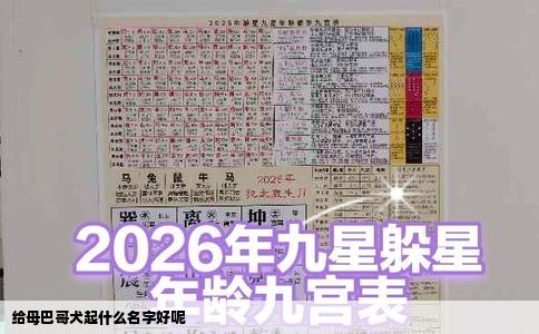 给母巴哥犬起什么名字好呢