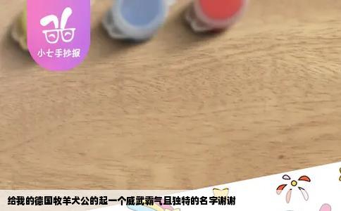 给我的德国牧羊犬公的起一个威武霸气且独特的名字谢谢