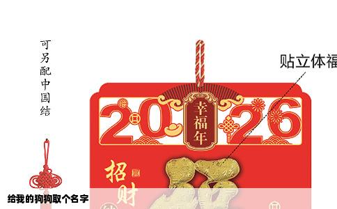 给我的狗狗取个名字