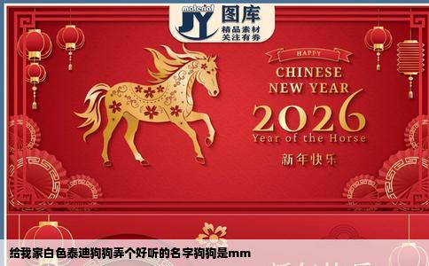 给我家白色泰迪狗狗弄个好听的名字狗狗是mm