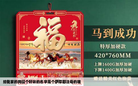 给我家的狗征个好听的名字是个萨摩耶注母的哦