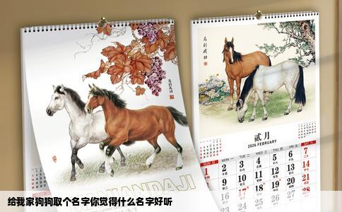 给我家狗狗取个名字你觉得什么名字好听